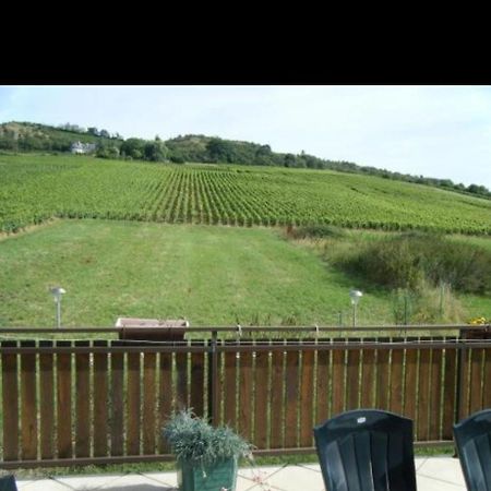 Maison Au Milieu Des Vignes Moroges 外观 照片