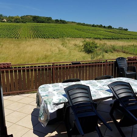 Maison Au Milieu Des Vignes Moroges 外观 照片