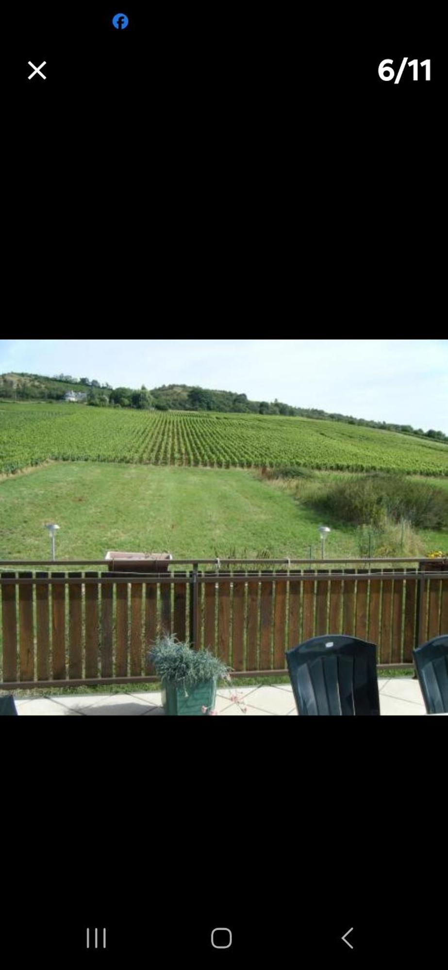 Maison Au Milieu Des Vignes Moroges 外观 照片